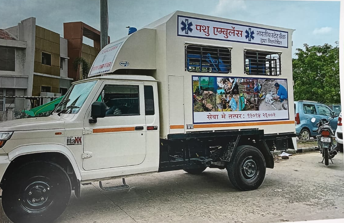 Animal ambulance