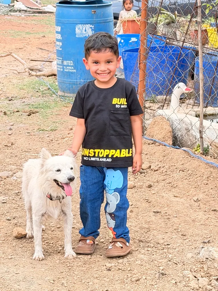 A child with one of the shelter dogs