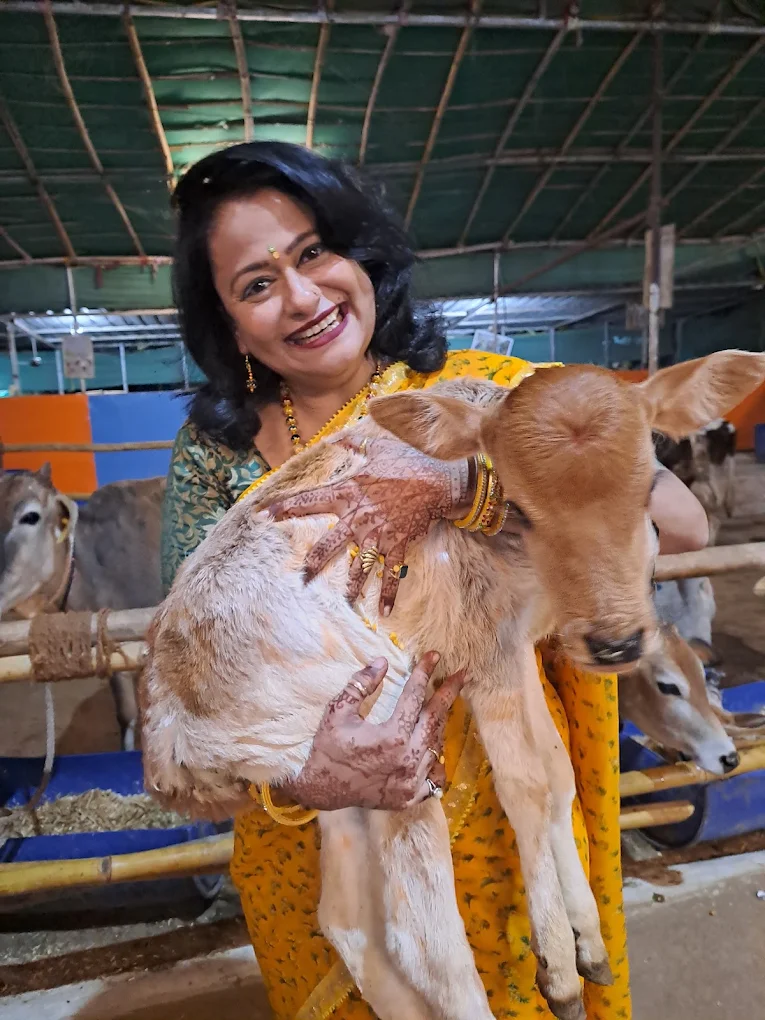 Meeta holding a newborn calf