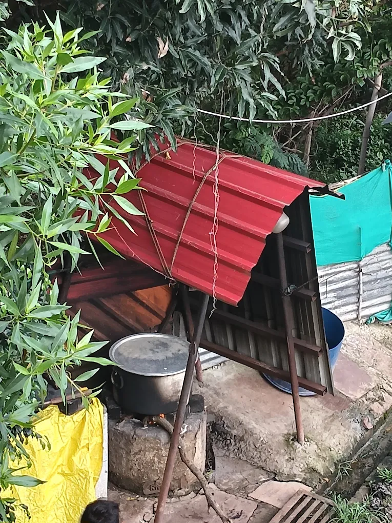 Red-roofed shed