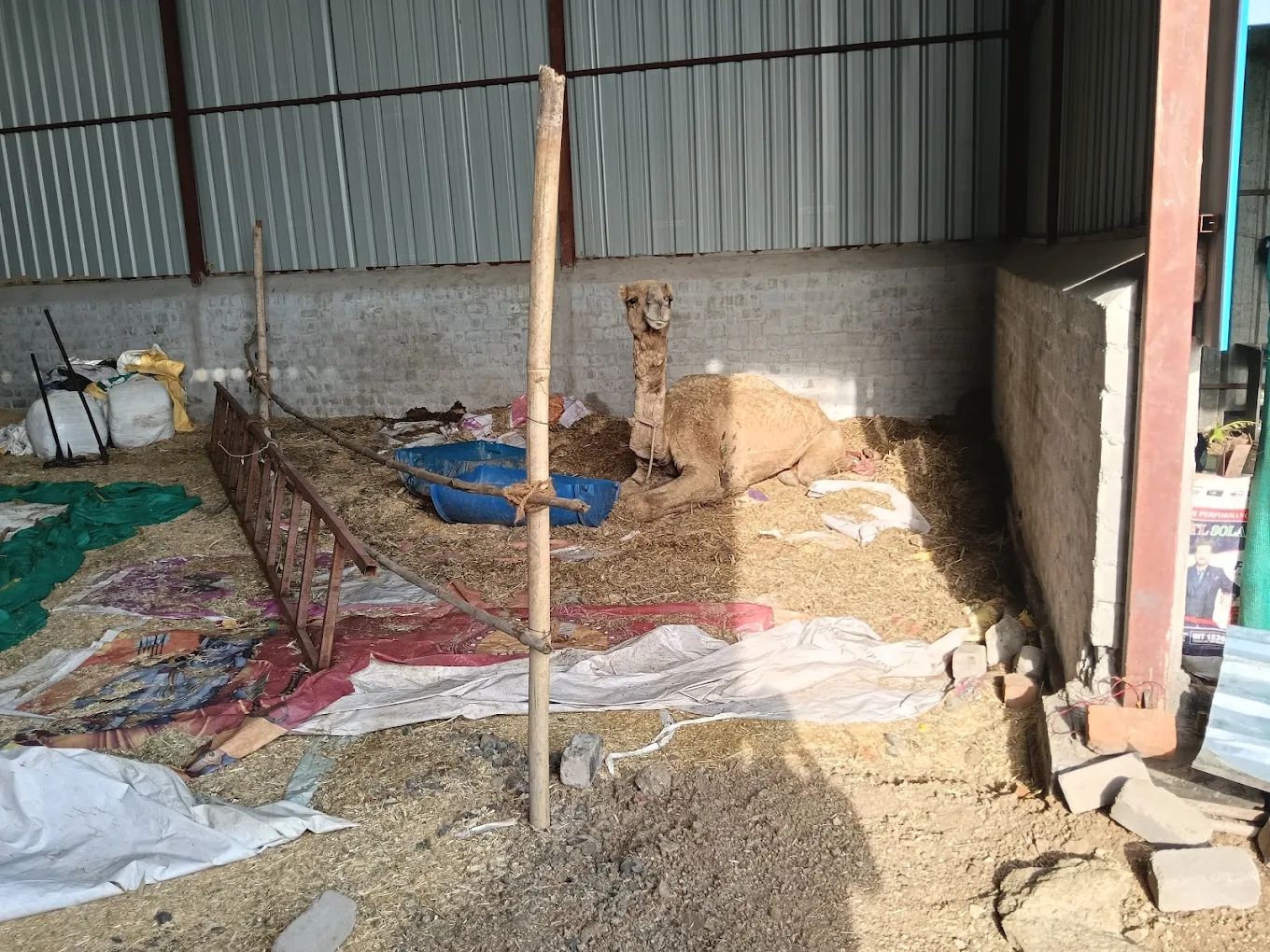 Inside the shed