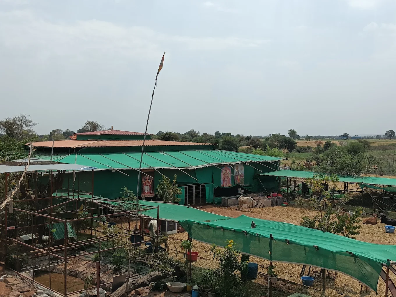 View over the gaushala sheds and surrounding fields