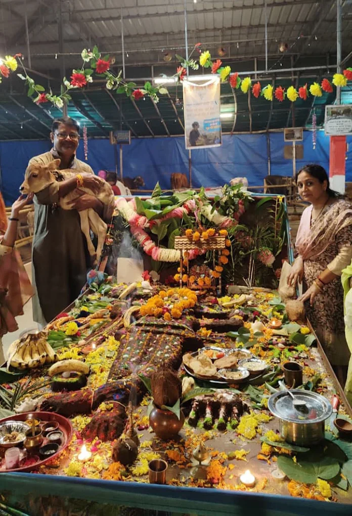 Govardhan Puja at the gaushala