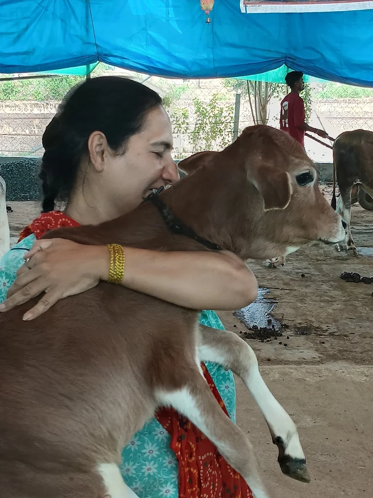 Meeta embracing a rescued calf at the gaushala