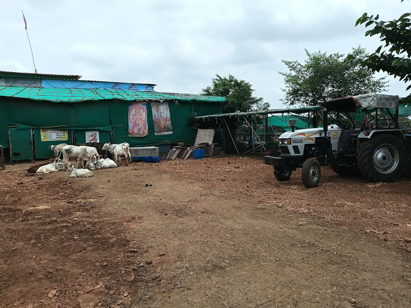 The tarpaulin shed